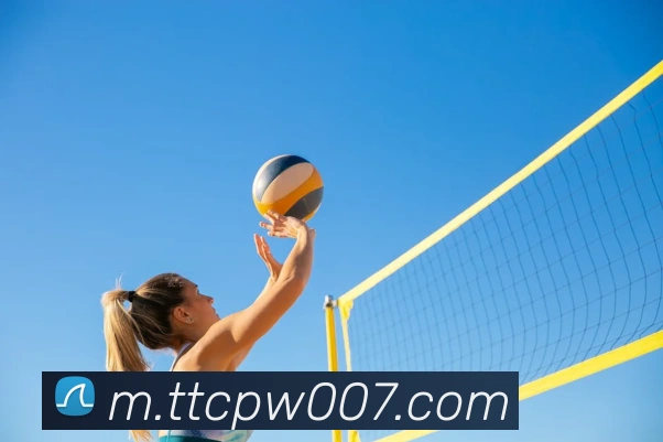 天天彩票官方网站服务体系